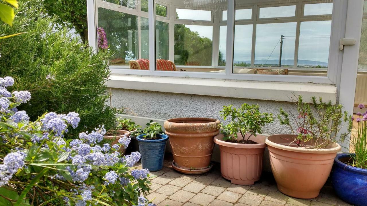 Rush View Bed and Breakfast Portrush Buitenkant foto